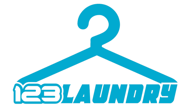 123 Laundry logo